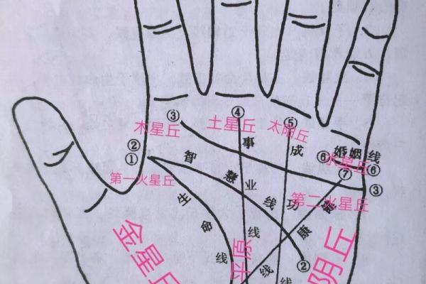 手纹探秘：你的命运线藏着哪些秘密？