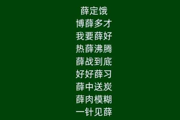 薛氏宝宝名字：彰显个性，传承文化
