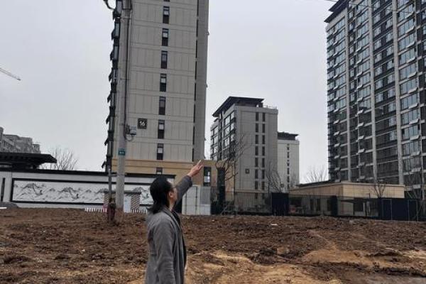 阳宅西北靠高楼，风水大师揭秘禁忌与运势