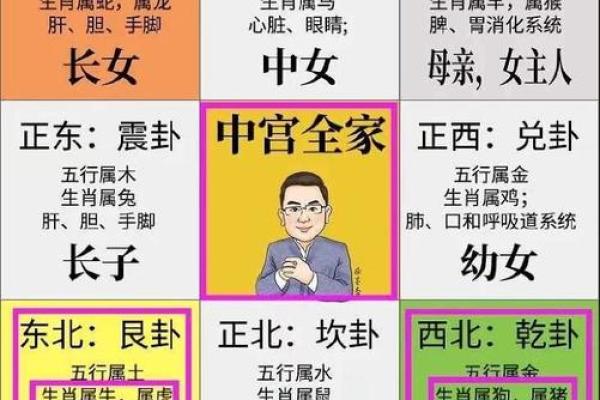 福鼎风水秘籍：布局首选，让您财运亨通，事业兴旺