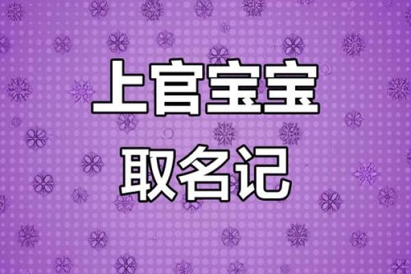 梦幻组合：宝宝复姓创意命名