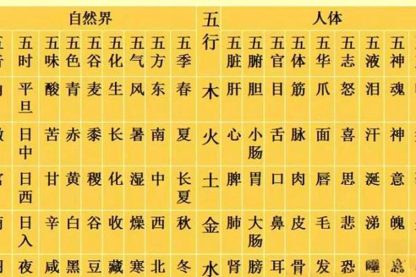 中字五行如何影响个人命运与健康