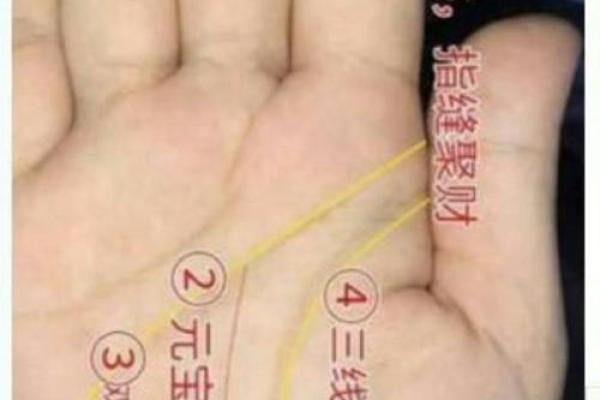 手上太阳纹，揭秘你的运势与人生巅峰