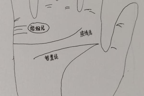 手相沟，揭秘你的命运密码