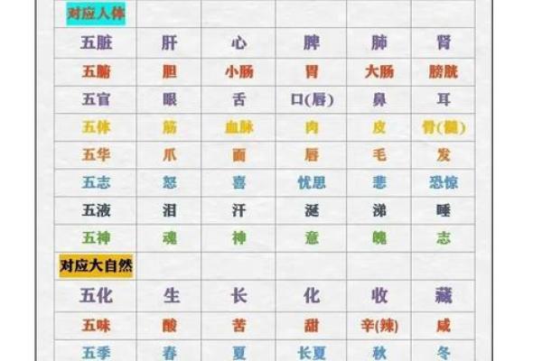 内五行与外五行的关系解析