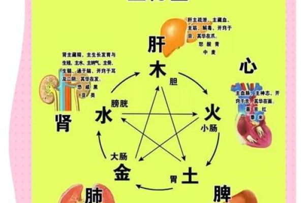内五行与外五行的关系解析
