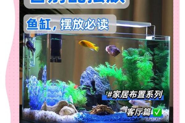 鱼跃龙门风水秘籍：鱼缸位置布局全攻略
