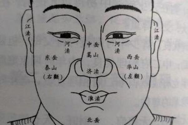 温和眼神面相揭秘：洞察内心之窗的秘密