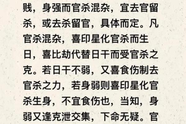 探索五两命在命理中的独特含义