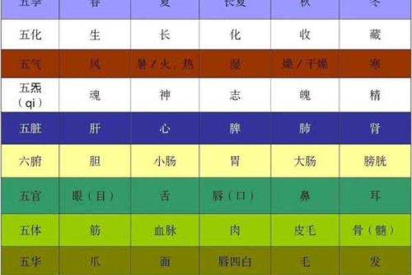解读五行属性