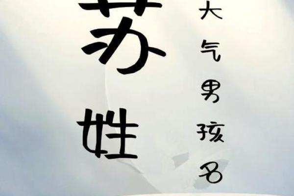 苏远的故事:如何赋予名字独特的生命力 苏远的故事:如何赋予名字独特的生命力