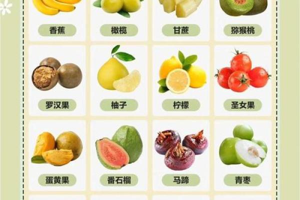 水果命名:为公司注入自然与清新气息 水果命名:为公司注入自然与清新气息