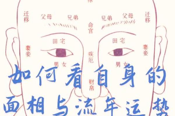 深情面相解析:解码男人内心的温柔密码 深情面相解析:解码男人内心的温柔密码