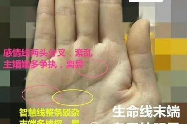 断掌奇缘:揭秘左手断掌男人的惊人运势 断掌奇缘:揭秘左手断掌男人的惊人运势