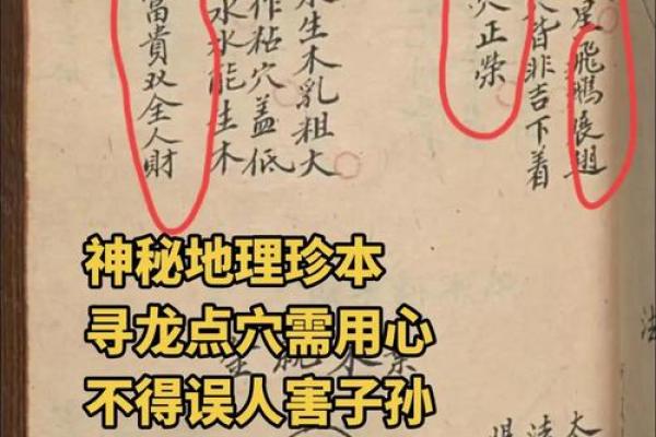 现代住宅风水秘籍:希贤PDF教你打造家居风水宝地 现代住宅风水秘籍:希贤PDF教你打造家居风水宝地