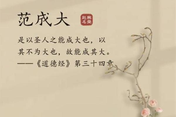 姿韵流转:探索名字的艺术魅力 姿韵流转:探索名字的艺术魅力