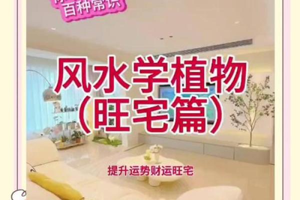 客厅风水秘籍:打造招财旺宅的家居宝地 客厅风水秘籍:打造招财旺宅的家居宝地