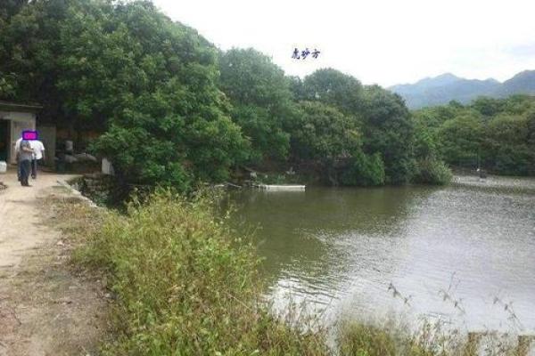 潮州商业风水秘籍:布局图解,财运亨通 潮州商业风水秘籍:布局图解,财运亨通