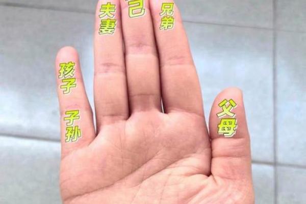 食指粗手,揭秘人生运势的密码? 食指粗手,揭秘人生运势的密码?