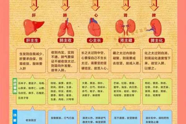 了解祖五行对个人运势的影响 了解祖五行对个人运势的影响