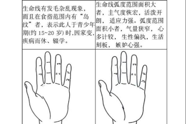 生命线揭秘:手相中的命运密码 生命线揭秘:手相中的命运密码