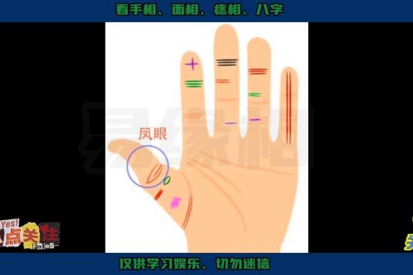 可夫手相秘籍,揭秘命运之谜 可夫手相秘籍,揭秘命运之谜
