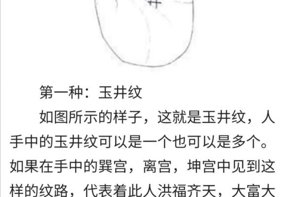 手中藏秘密:离宫手相图解人生轨迹的奥秘 手中藏秘密:离宫手相图解人生轨迹的奥秘
