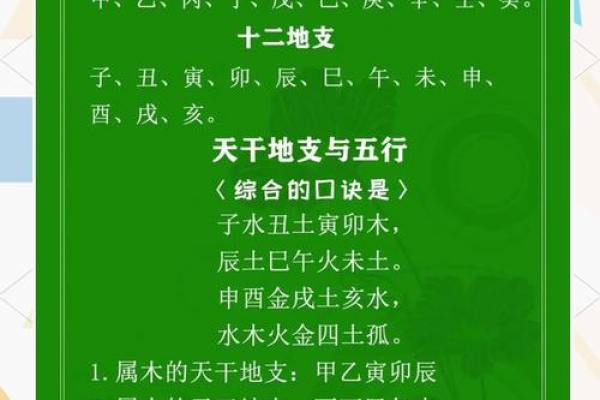 支干地支与八字命理的深度联系 支干地支与八字命理的深度联系