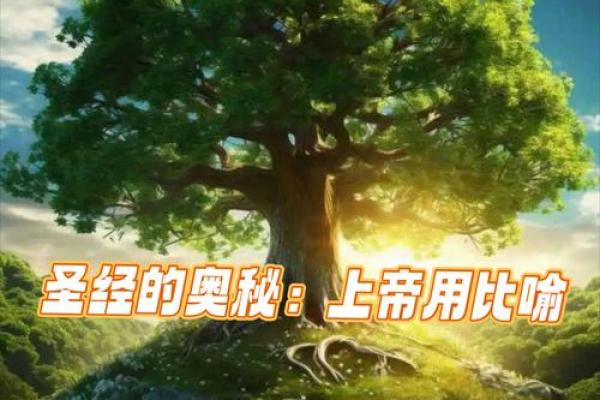 圣经智慧之名 圣经智慧之名