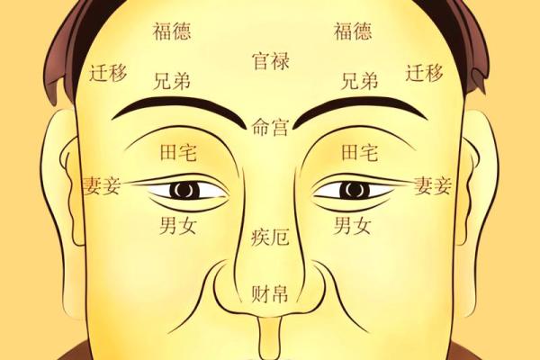 面相12宫揭秘:命运轨迹尽在五官之间 面相12宫揭秘:命运轨迹尽在五官之间