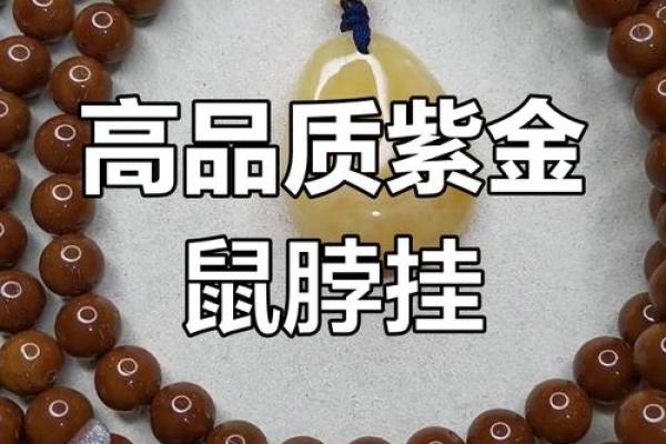 独家揭秘:紫金鼠风水布局,轻松招财旺运 独家揭秘:紫金鼠风水布局,轻松招财旺运