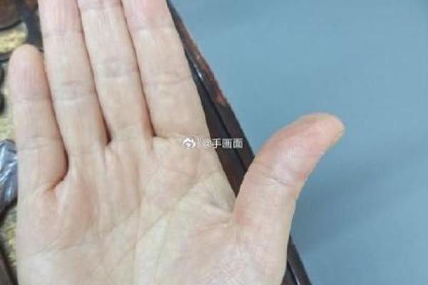 手掌M纹魅力大揭秘:究竟是不是最好手相? 手掌M纹魅力大揭秘:究竟是不是最好手相?