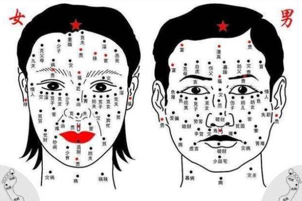 痣相揭秘:这些痣预示着你的命运如何? 痣相揭秘:这些痣预示着你的命运如何?