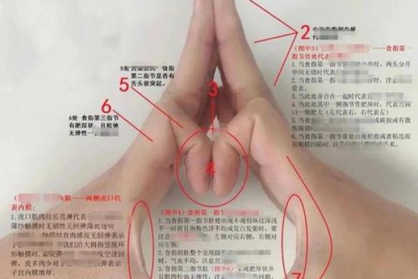 小手藏玄机:揭秘男孩手相的秘密 小手藏玄机:揭秘男孩手相的秘密