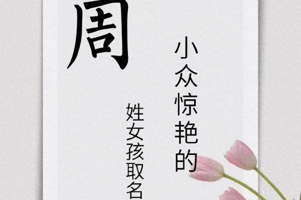 周连名字的创意设计与应用 周连名字的创意设计与应用