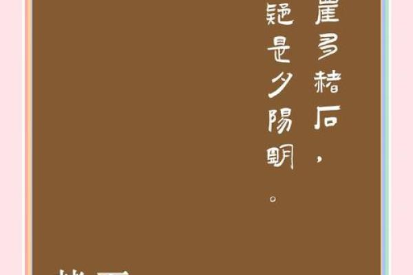 黑赭石在风水中的独特作用与应用解析