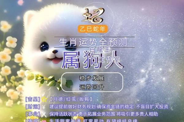 属狗明年运势解析