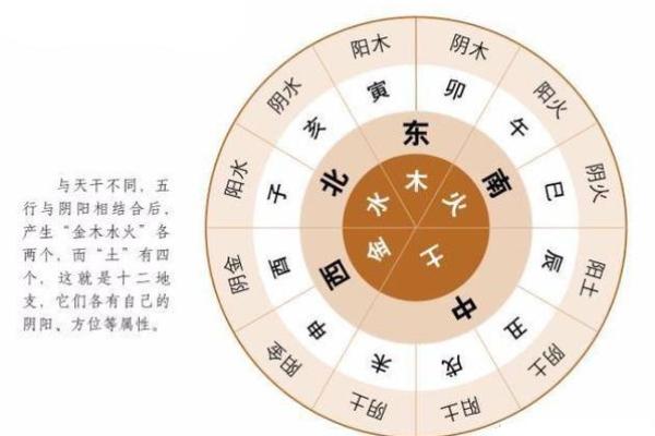 子亥地支的组合对命运的影响 子亥地支的组合对命运的影响