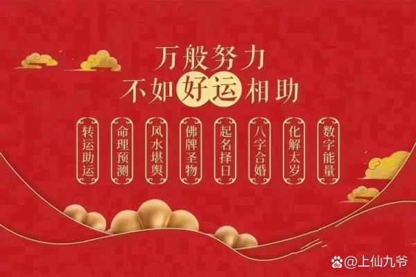 掌握明日运势，决策更精准