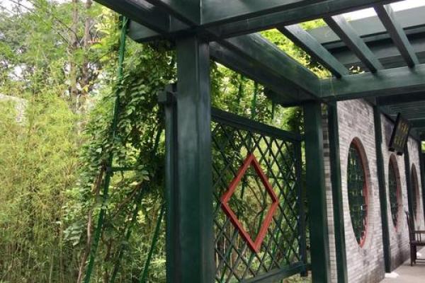 李安卉:宁静如菊,安详而卉,美好人生之旅 李安卉:宁静如菊,安详而卉,美好人生之旅