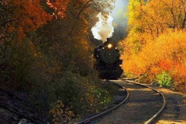 李安卉:宁静如菊,安详而卉,美好人生之旅 李安卉:宁静如菊,安详而卉,美好人生之旅