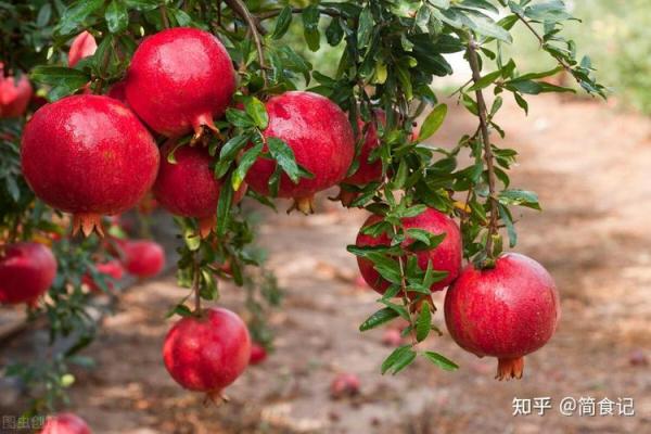 李尚缦:寓意深远,好运连连的姓名解析 李尚缦:寓意深远,好运连连的姓名解析