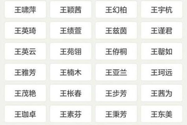 王姓鸡宝宝名字精选