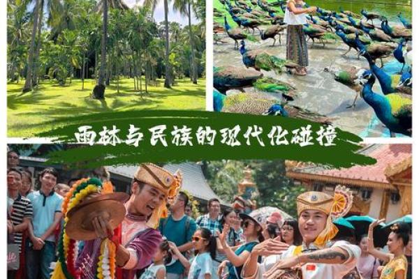 傣族禁忌文化：探索民族传统背后的深层含义