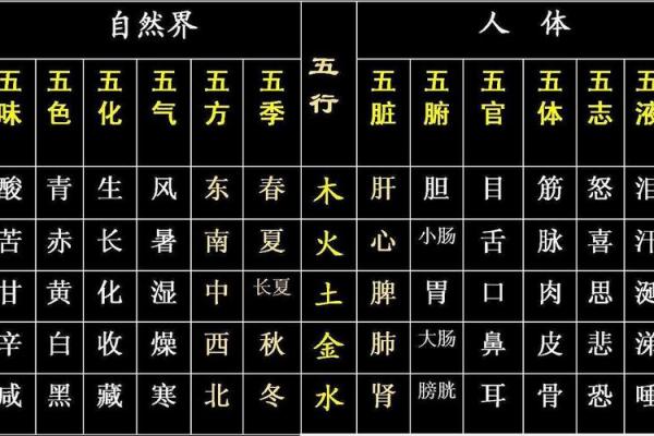如何通过凌五行属性优化命运