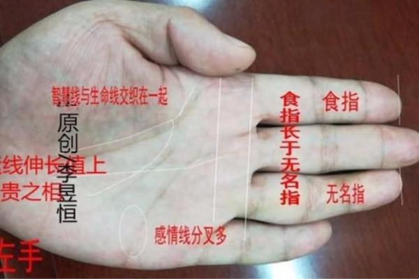 食指之谜:揭秘命运线背后的秘密 食指之谜:揭秘命运线背后的秘密