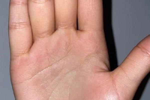 食指之谜:揭秘命运线背后的秘密 食指之谜:揭秘命运线背后的秘密