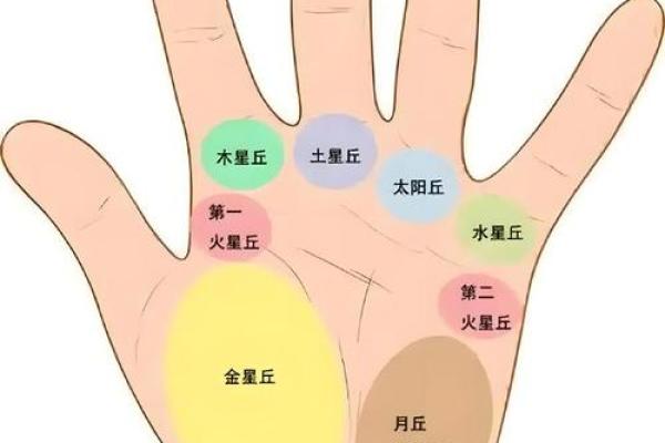 手相星丘解读:掌握你的运势风向标 手相星丘解读:掌握你的运势风向标