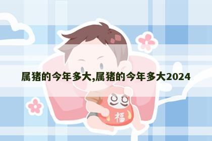 属猪的今年多大,属猪的今年多大2024