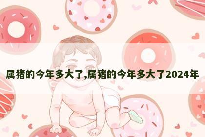 属猪的今年多大了,属猪的今年多大了2024年